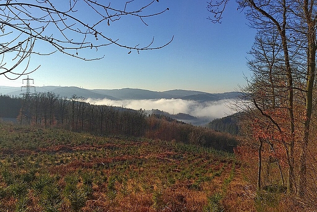 Druidenland Druidenland