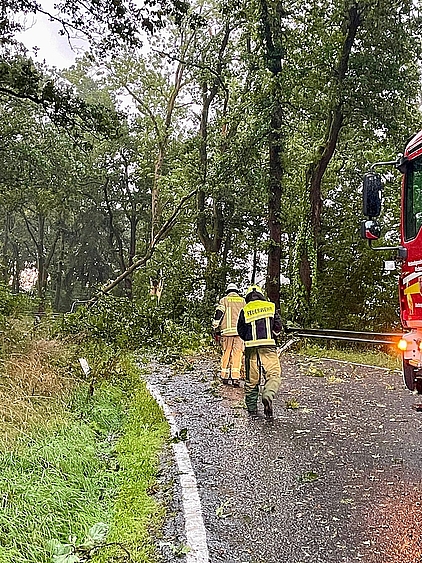 Feuerwehr schneidet umgestürzten Baum, der Straße kreuzt