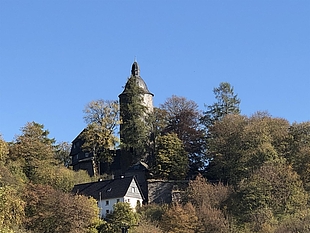 Wildenburg Wildenburg