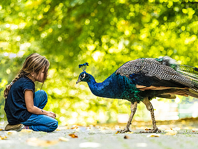 Tierpark Niederfischbach