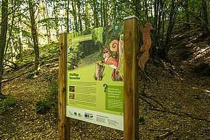 Eichhörnchenweg Eichhörnchenweg