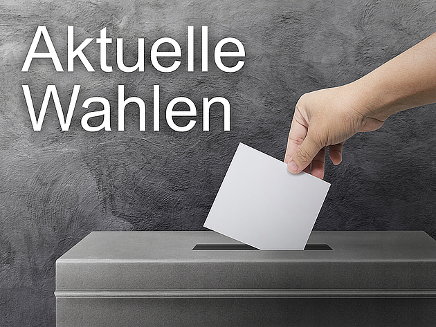 Aktuelle Wahlen